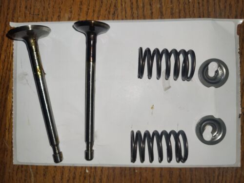 Brand New Take Off Briggs & Stratton Valves, Valve Springs & Retainers - MK Sauder Surplus